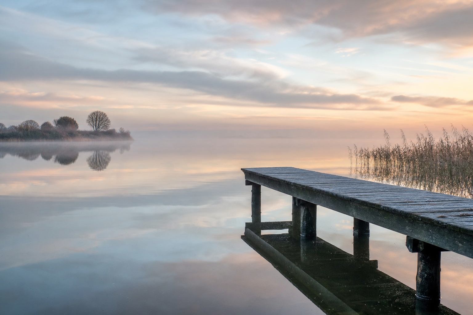 Nebel am nördlichen Seeufer